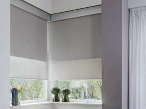 Commercial Twin Roller Blinds